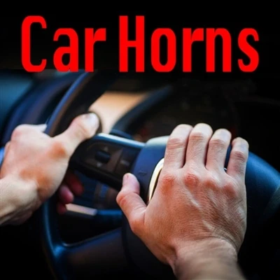 Kur yra garso signalas ant automobilio?